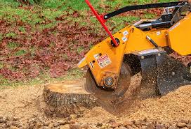 How Our Tree Care Process Works  in  Canyon, TX