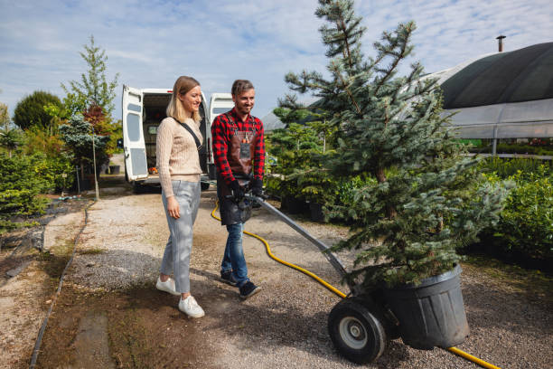 Best Lawn Maintenance Plans  in Canyon, TX